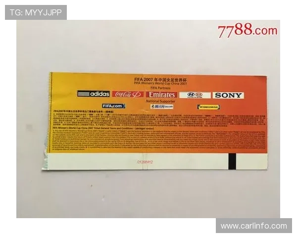 FIFA2006世界杯注册码获取方法与使用技巧详解